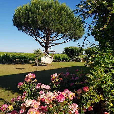 Entre Loire Et Vignobles Bed & Breakfast Lire Exterior photo