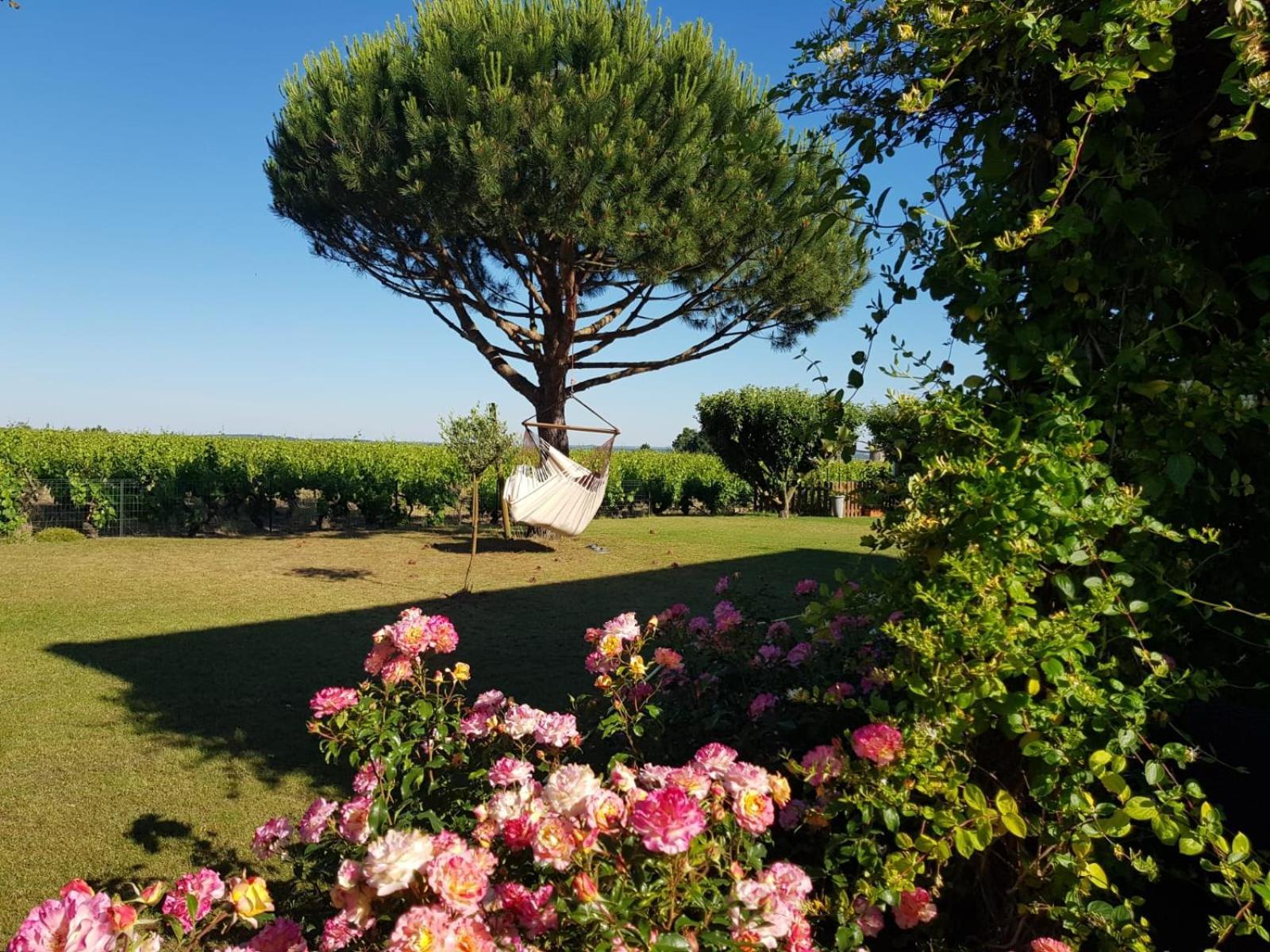 Entre Loire Et Vignobles Bed & Breakfast Lire Exterior photo